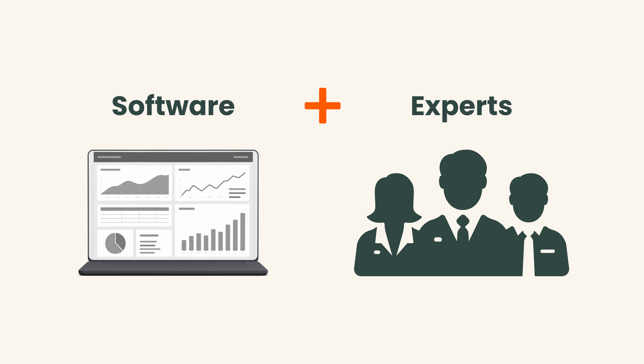combination SaaS and experts